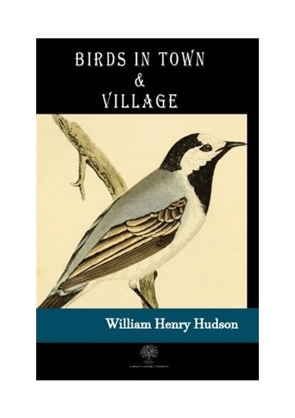 Birds İn Town And Village - William Henry Hudson