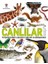 Canlılar Kitabı - Yeryüzündeki Yaşamın Görsel Ansiklopedisi 1