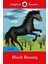 Readers Level 6 Black Beauty - 1