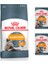 Hair&skin Care Tüy Güzelliği Kedi Maması 4 kg + Royal Canin Hair Skin Intense Beauty Yaş Mama 2 Adet 1