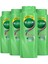 Sağlıklı Uzayan Saçlar Şampuan 650 ml x 4 1