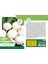 Beyaz Turp Tohumu Paket 1