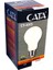 CT-4315 8 W Ledli Glop Ampul Soft Gün Işığı 1