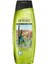 Senses Cactus Ridge Erkekler Için Saç ve Vücut Şampuanı 500 ml 1