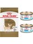 Yetişkin Chihuahua Köpek Maması 1,5 kg + Royal Canin Mini Starter Konserve 2'li 1