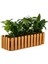 Akasya Balkon Saksısı 60 cm 11 lt 4