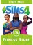 The Sims 4 Fitness Stuff Dijital Oyun 1