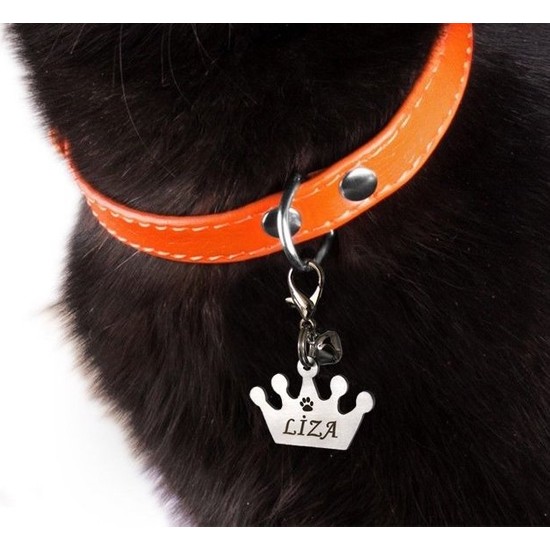 Dekoliva Metal Kedi Köpek Künyesi Kral Tacı Paslanmaz Çelik Fiyatı