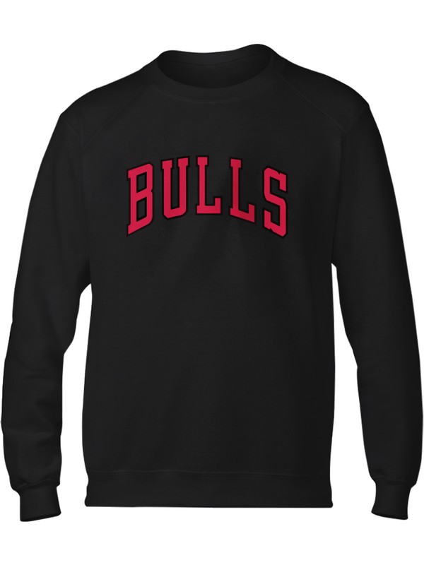 bulls champion hoodie