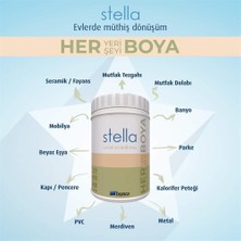 Bianca Stella Boya Beyaz 1lt