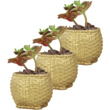Evene Mini Çiçek Saksı Küçük Sukulent Eskitme Kaktüs Saksısı 3'lü Set Sepet Örgü Model