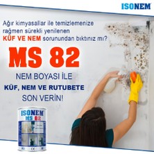 İsonem Ms 82 Nem ve Rutubet Küf Boyası 1+1 kg + Izmir Fırça Epoksi Rulo 10 cm + 2.5 No Fırça + 3 cm Maskeleme Bandı + Temizlik Bezi