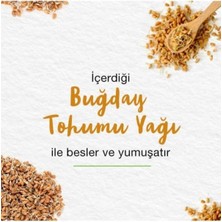 Himalaya Besleyici Lip Balm - Buğday Tohum Yağı - Nemlendirici - %100 Doğal Renk Silikon İçermez 4,5 gr 3 Adet