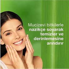 Himalaya Yüz Temizleme Seti Safran - Meyankökü - Kayısı - C Vitamini - - Tüm Ciltler
