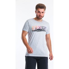 Superfly Men Tshırt Gri Erkek T-Shirt 21607-08