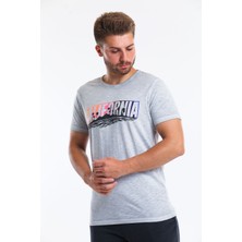 Superfly Men Tshırt Gri Erkek T-Shirt 21607-08