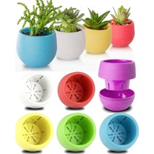 Neler Geldi Neler 10 Adet Saksı Kaktüs Saksısı Elvan Saksı Minik Küçük Karışık Renkli Saksı 0,13 Litre