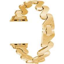 Kny Apple Watch 38 mm Için Burgu Desenli Metal Krd-80 Kordon-Kayış