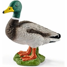 Schleich 13824 Schleich - Erkek Ördek +3 Yaş