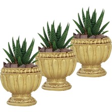Evene Mini Çiçek Saksı Küçük Sukulent Kaktüs Saksısı 3'lü Set Antika Vazo