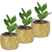 Evene Mini Çiçek Saksı Küçük Sukulent Kaktüs Saksısı 3'lü Set Altıgen