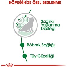 Royal Canin 6 Adet Royal Canin Mini Ageing 85 gr