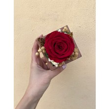 Fidanova Solmayan Gül Bir Avuç Mutluluk