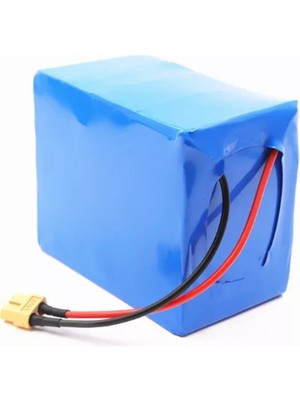 Orion 12.8V 30A 4S5P 3200 Lifepo4 Bms'li Pil Grubu