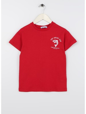 Limon Baskılı Kırmızı Erkek Çocuk T-Shirt Fısh Boy-23