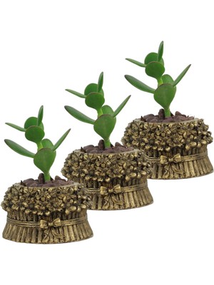 Evene Mini Çiçek Saksı Küçük Sukulent Kaktüs Saksısı 3'lü Set Çiçekli Fiyonklu Model
