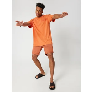 Regular Fit Erkek Şort