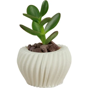 Mini Çiçek Saksı Küçük Sukulent Kaktüs Saksısı Derin Çizgili Spiral Model