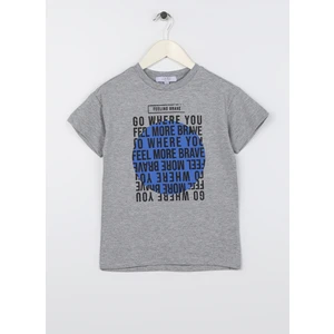 Baskılı Gri Melanj Erkek Çocuk T-Shirt Moreso Boy-23