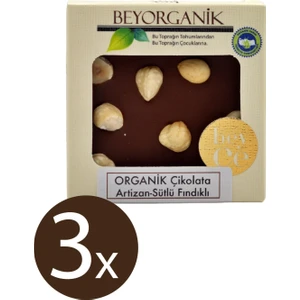 ORGANİK Çikolata  Sütlü Fındıklı 40gr x 3adet