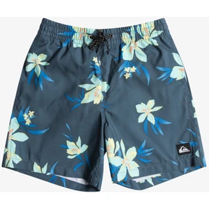 Everyday Mix 14 Erkek Çocuk Volley Short EQBJV03440