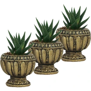 Mini Çiçek Saksı Küçük Sukulent Kaktüs Saksısı 3'lü Set Antika Vazo Model