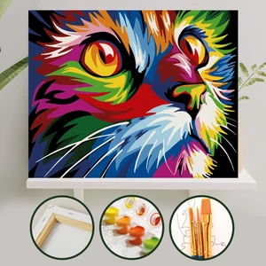 Sayılarla Boyama Tuval Seti Fırça Boya Dahil (Çıtalı) 40X50 cm - Renkli Kedi