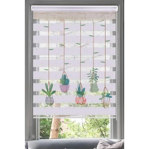 Saksıda Sarkan Kaktüsler Zebra Stor Perde - Modern Mutfak Oturma Odası - Kaktüs