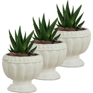 Mini Çiçek Saksı Küçük Sukulent Kaktüs Saksısı 3'lü Set Antika Vazo Model