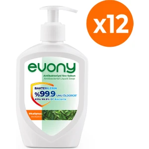 Evony Antibakteriyel Sıvı Sabun Okaliptus 300ml 12 Adet (1 koli)