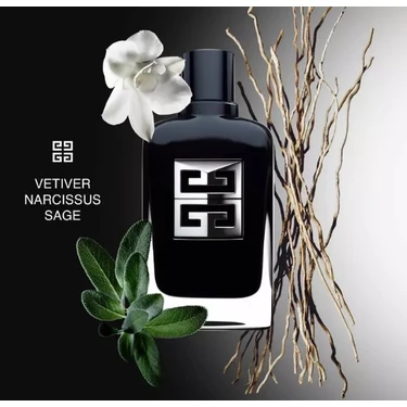 Gıvenchy Gentleman Socıety Edp 100ML Fiyatı - Taksit Seçenekleri