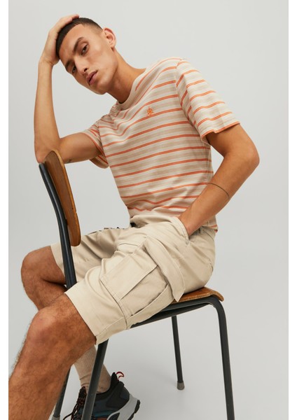 Jpstdex Jjcargo Shorts Akm Sn Krem Erkek Şort 12205072-Oxfor indirimleri