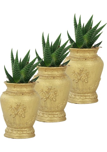 Mini Çiçek Saksı Küçük Sukulent Kaktüs Saksısı 3'lü Set Mini Desenli Vazo Saksı Model