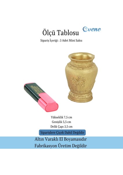 Mini Çiçek Saksı Küçük Sukulent Kaktüs Saksısı 3'lü Set Mini Desenli Vazo Saksı Model