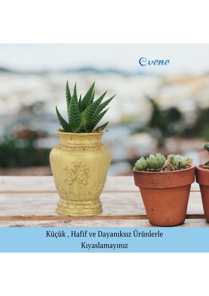 Mini Çiçek Saksı Küçük Sukulent Kaktüs Saksısı 3'lü Set Mini Desenli Vazo Saksı Model