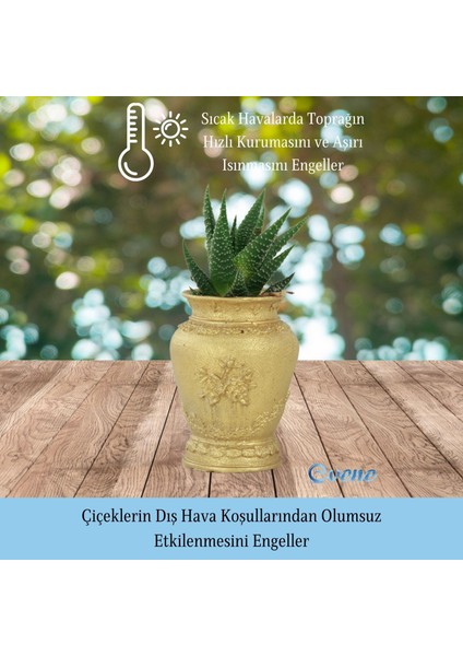 Mini Çiçek Saksı Küçük Sukulent Kaktüs Saksısı 3'lü Set Mini Desenli Vazo Saksı Model