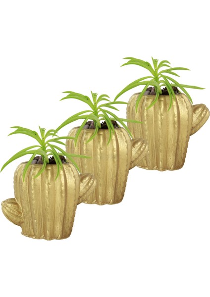 Mini Çiçek Saksı Küçük Sukulent Kaktüs Saksısı 3'lü Set Kaktüs Figür Model