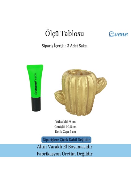 Mini Çiçek Saksı Küçük Sukulent Kaktüs Saksısı 3'lü Set Kaktüs Figür Model