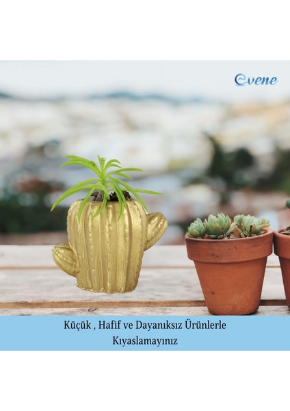 Mini Çiçek Saksı Küçük Sukulent Kaktüs Saksısı 3'lü Set Kaktüs Figür Model