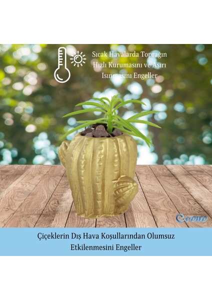 Mini Çiçek Saksı Küçük Sukulent Kaktüs Saksısı 3'lü Set Kaktüs Figür Model